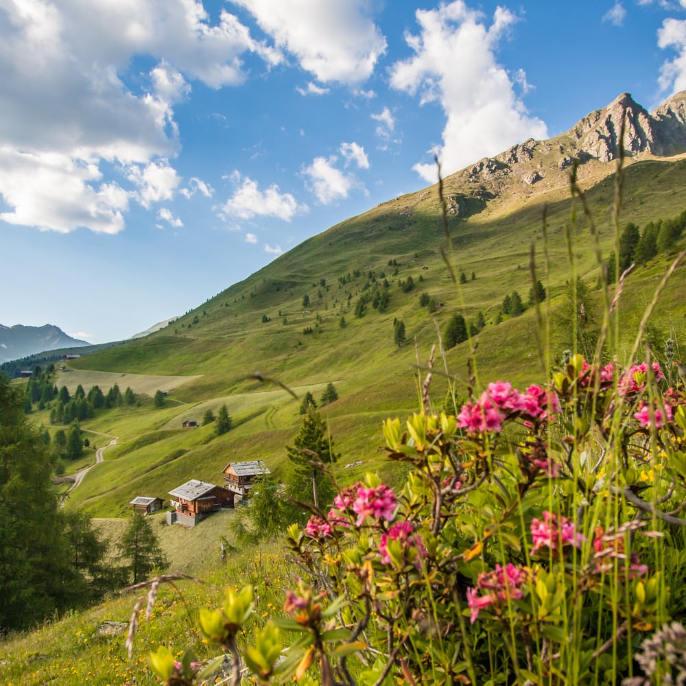 Hiking Puster Valley