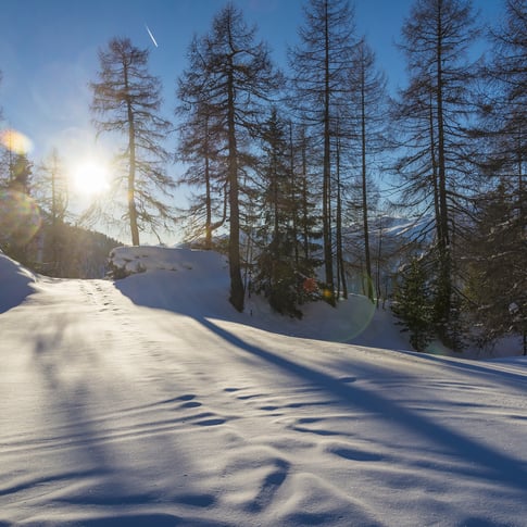 Nature South Tyrol