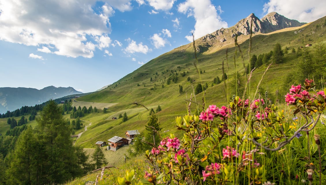 Hiking holiday
