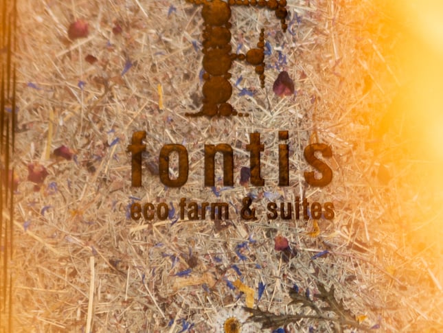 Fontis brochure 2022