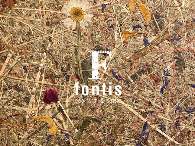 Fontis brochure